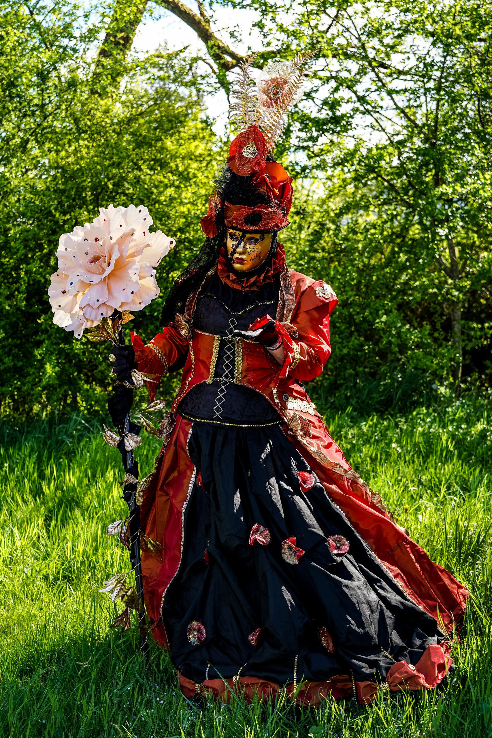 DSC00811